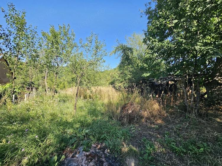 Casă cu Teren 8338 Mp în Făgețel