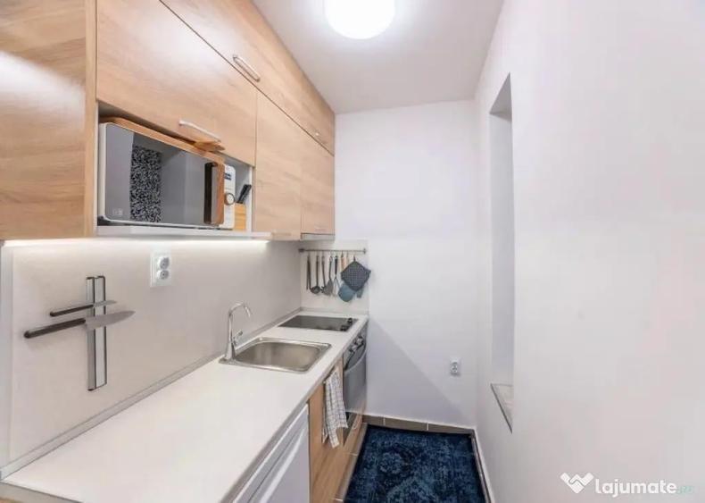Apartament cu 2 camere de inchiriat in zona Tineretului - 4
