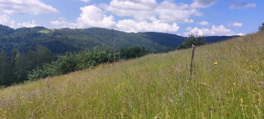 Teren de 2263 mp, în Horea