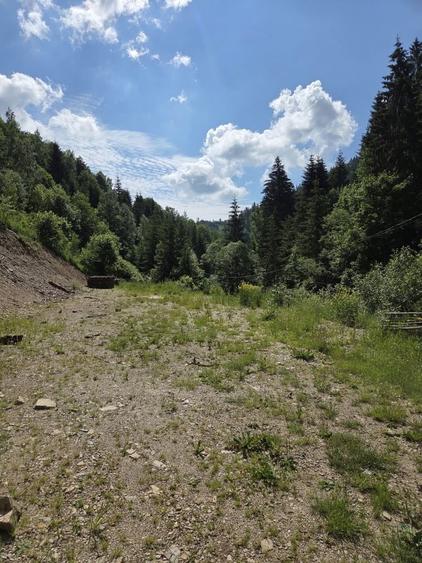 Vand teren in Muntele Baisorii 500 mp cu Cf - 3