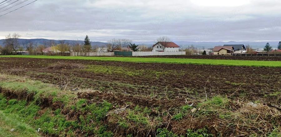 Teren de 3500 mp, în Central