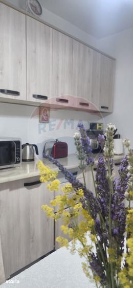 Apartament cu 3 camere de vanzare in zona Sud-Est - 14
