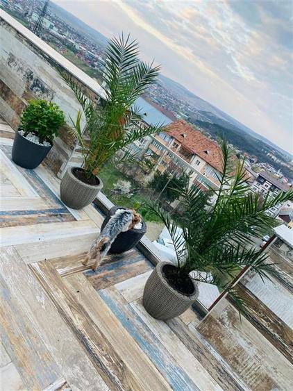 Penthouse cu 3 camere decomandat, mobilat în Obcini