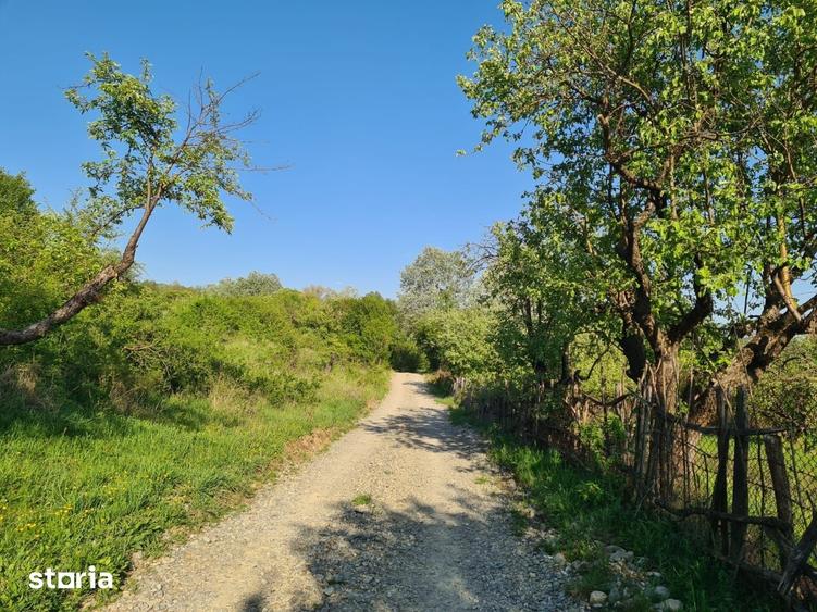 Teren de 950 mp, în Păușești