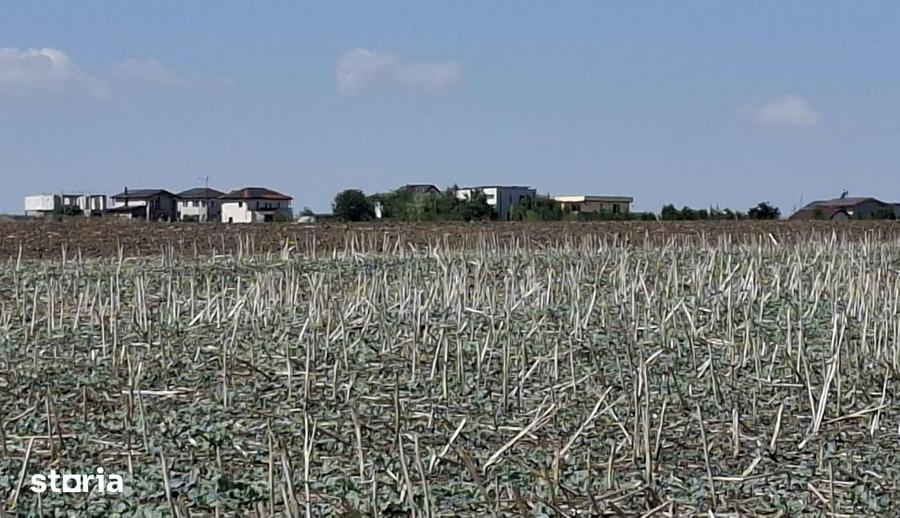 Teren de 8500 mp, în Central