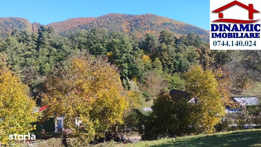 Teren de 3600 mp, în Alexandru cel Bun