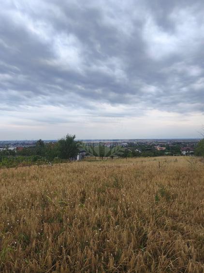 Teren Construcții intravilan de 10000 mp, în Păulești
