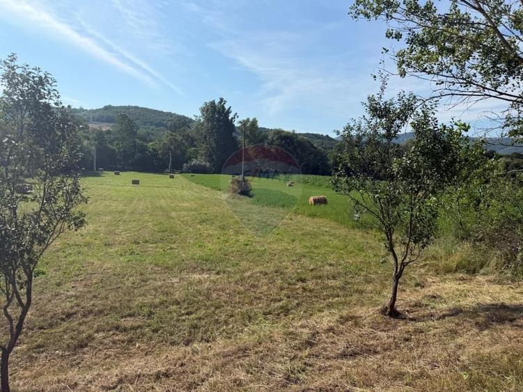 Teren Construcții intravilan de 5162 mp, în Berința