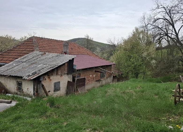 Casă cu 4 camere cu Teren 35000 Mp în Nadanova