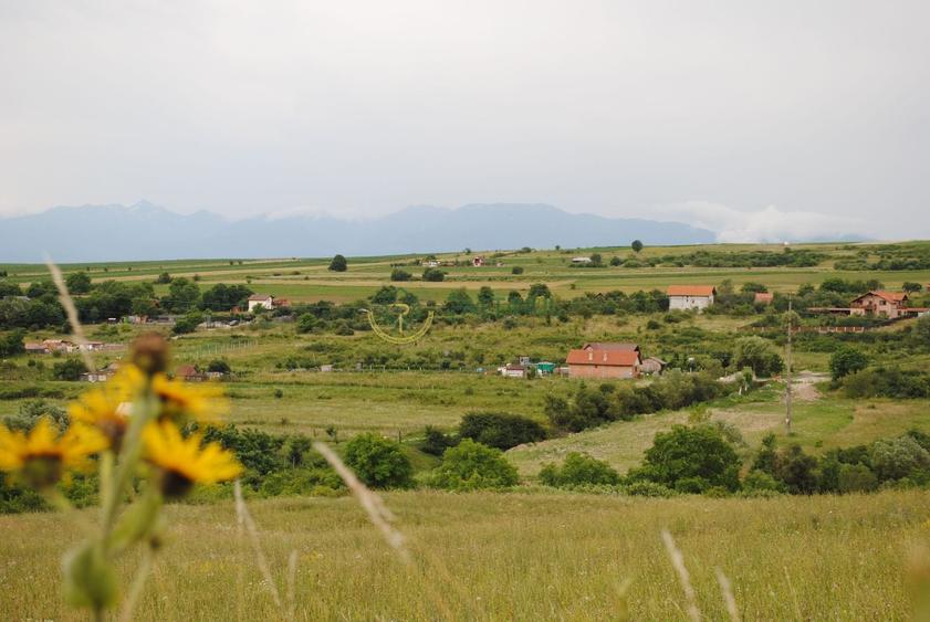 Teren agricol intravilan de 1500 mp, în Daia