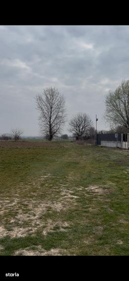 Teren de 5000 mp, în Podari
