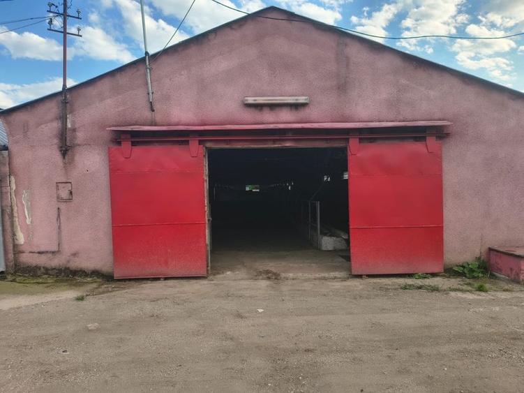 Spațiu comercial, în Bârsău
