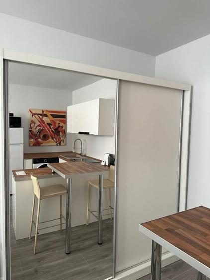 Oferim inspre inchiriere studio in Ghimbav pet friendly - 5