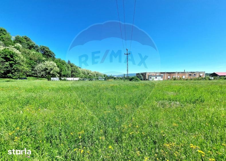 Teren de 8500 mp, în Cașin