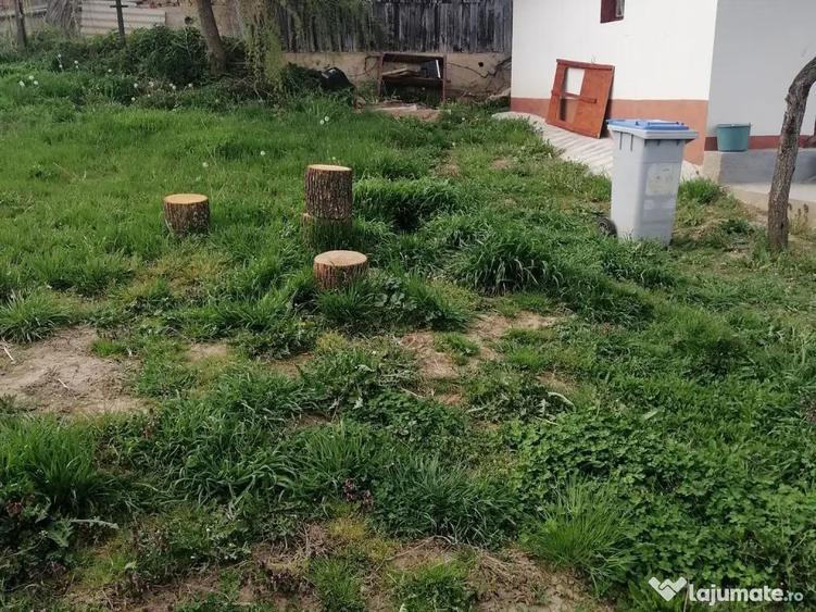 Casă cu 3 camere în Florești