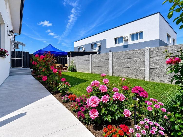 Casa Insiruita 100.000 Euro 3 camere / 2 bai Tip Sad - 3