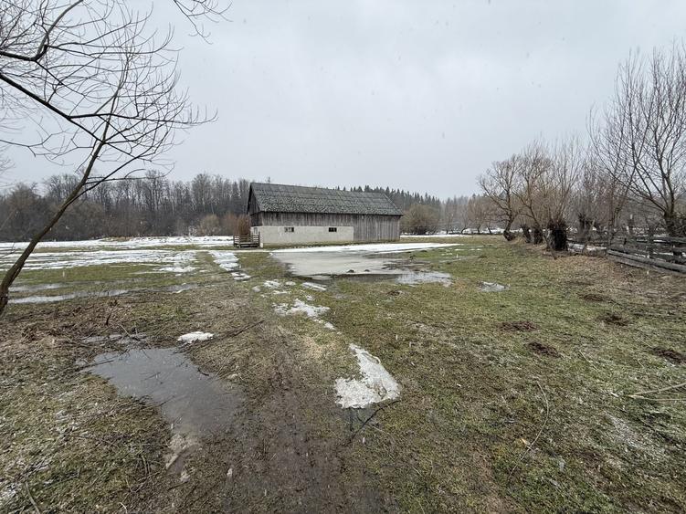 Teren agricol extravilan de 3600 mp, în Horodnic de Sus