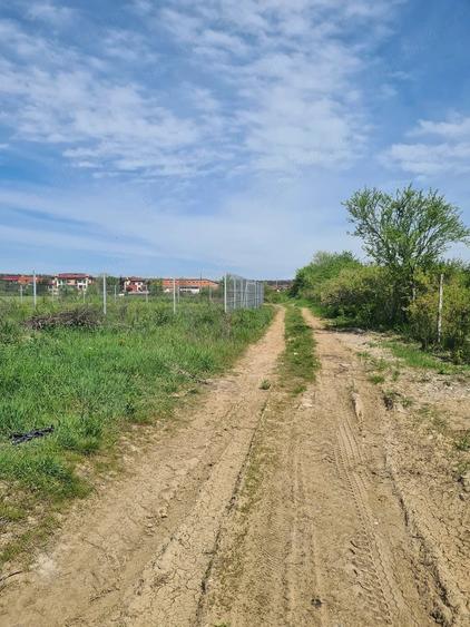 Teren de 618 mp, în Mogoșoaia
