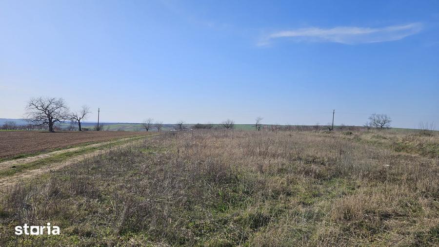 Teren de 6707 mp, în Cetariu