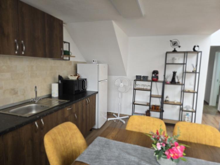 Apartament cu 2 camere decomandat în Viilor