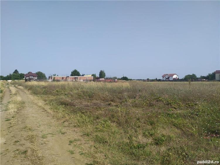De vanzare teren intravilan Frumu?ani jude?ul Calara?i - 8
