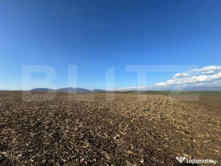 Teren extravilan agricol 5700 mp, Cristur - 2
