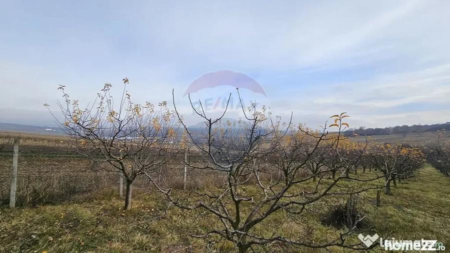 Teren de 10791 mp, în Fălticeni