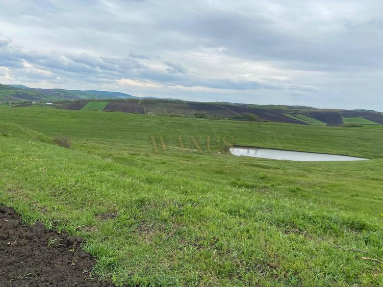 Teren agricol extravilan de 10200 mp, în Țagu