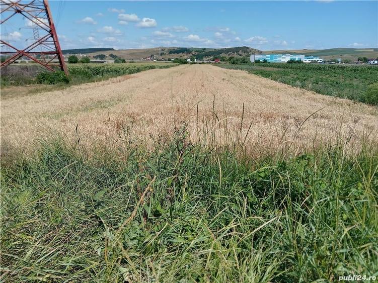 Teren de 5800 mp, în Apahida