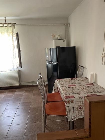 Apartament 2 canere Rovine - 3
