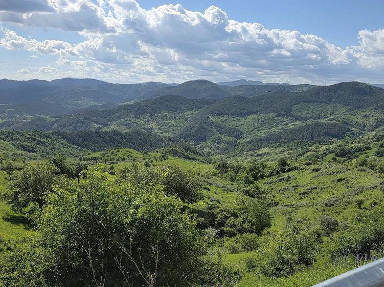 Casă cu Teren 2500 Mp în Poiana Pletari