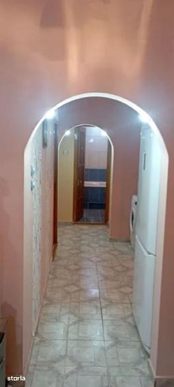 3 camere - Teiul Doamnei - Otesani - 3