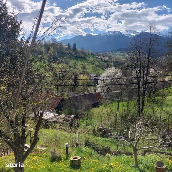 Casă cu 7 camere cu Teren 1350 Mp în Bran