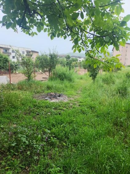 Teren Construcții intravilan de 3574 mp, în Florești