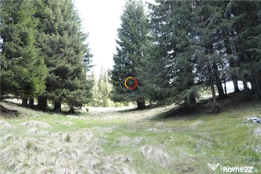 Teren de 50000 mp, în Moroeni