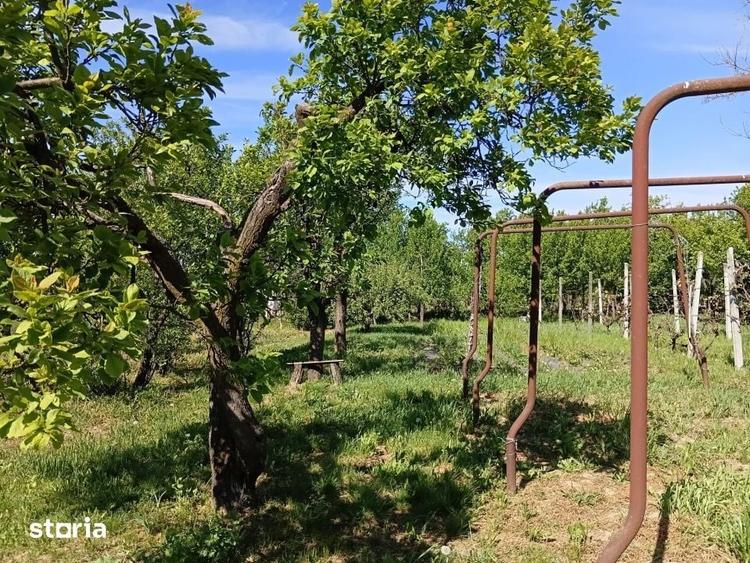 De Vanzare Casa Culciu Mare Satu Mare - 3