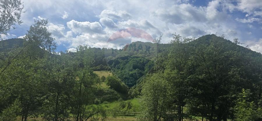 Teren Construcții intravilan de 1260 mp, în Râu Sadului