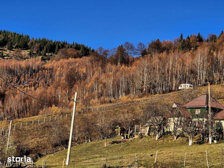 Magura/Brasov, teren generos, pretabil investitie cabane/pensiune/casa - 14