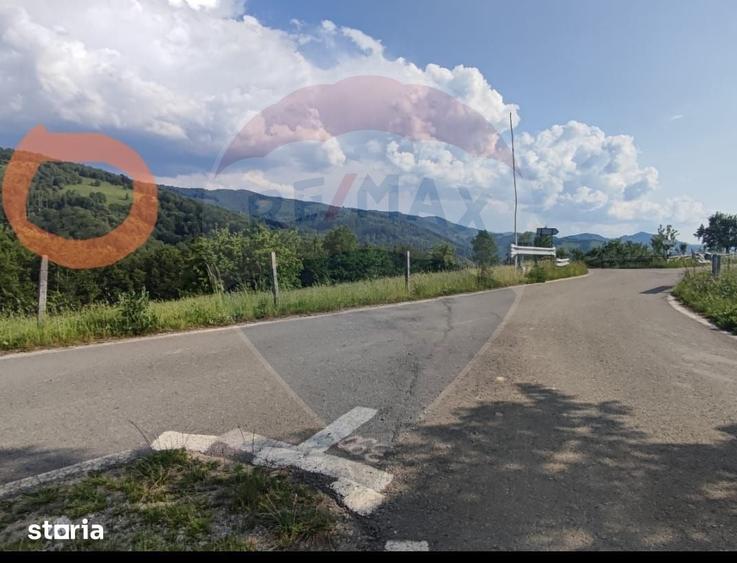 Teren de 128948 mp, în Negreni