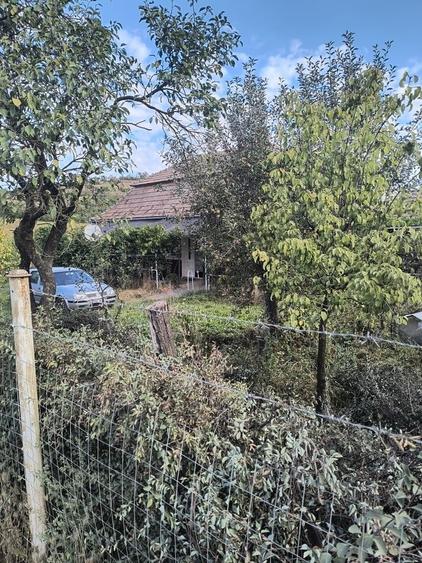 Casă cu 2 camere în Sânger