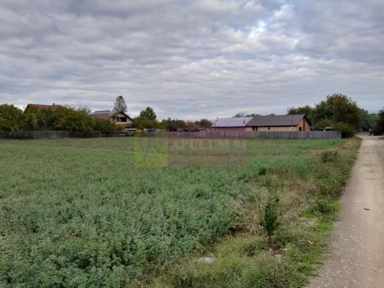 Teren Construcții intravilan de 2062 mp, în Coșereni