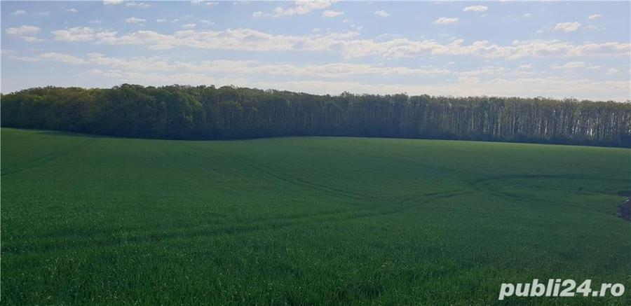 Teren de 385 mp, în Frumușani