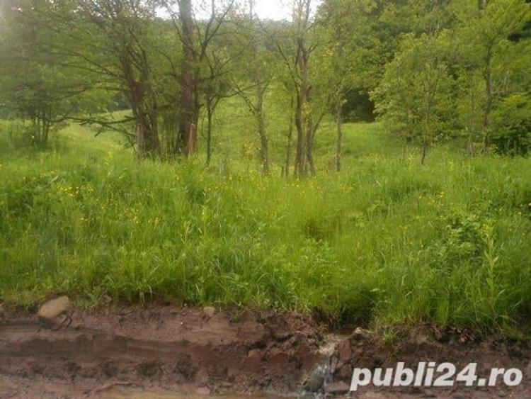 Teren de 4500 mp, în Sud