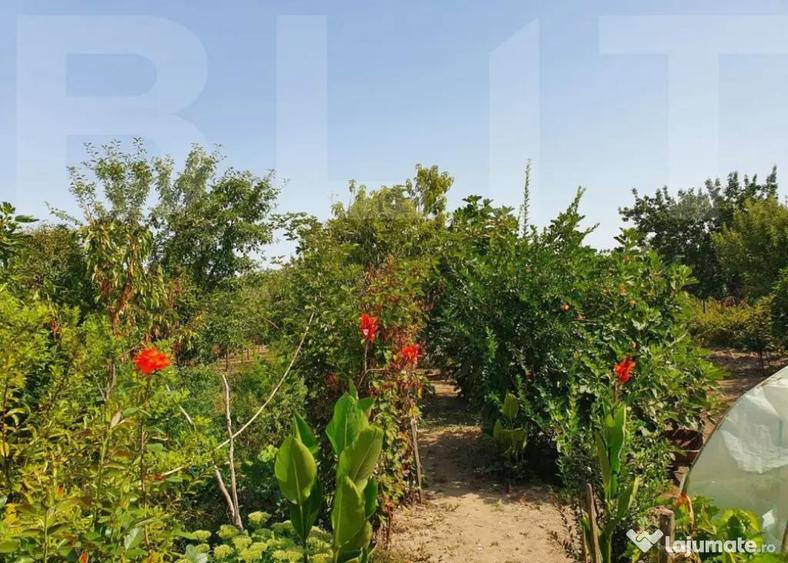 DE VANZARE Casa cu gradina mare in Lugoj - 5