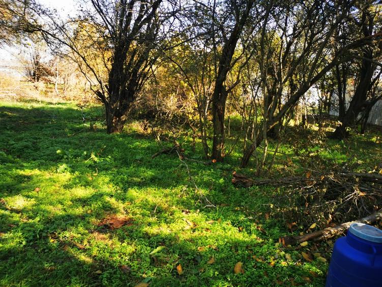 Casă individuală cu 2 camere cu Teren 2500 Mp în Gruiu