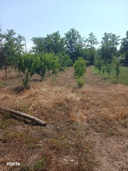 Casă cu 3 camere cu Teren 2100 Mp în Silistraru