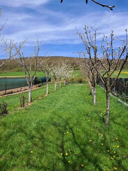 Casă cu Teren 4470 Mp în Vâlcele