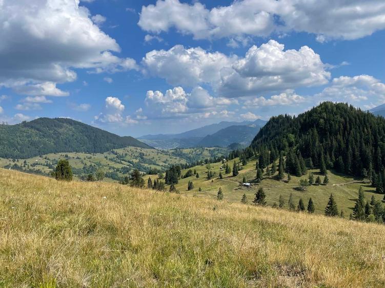 17 Ha Hectare pe Via Transilvanica intravilan + extravilan in Fundu Moldovei - 4