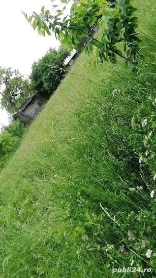 Teren de 1000 mp, în Doftana