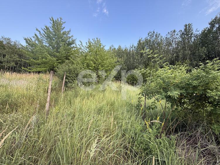 Teren agricol extravilan de 1963 mp, în Topoloveni